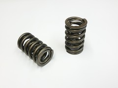 AJP V8 VALVE SPRING